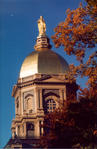 The Golden Dome